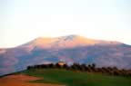 Vista dalla zona di Arcidosso (11kb)